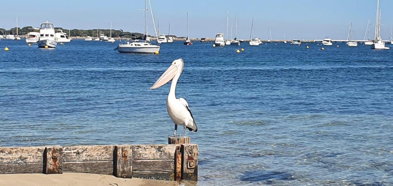 Palm Beach Manor Rockingham Bagian luar foto